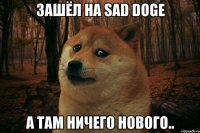 Зашёл на SAD DOGE а там ничего нового..