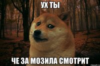 Ух ты че за мозила смотрит