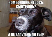 Зомбоящик, небось, смотришь? а не запутена ли ты?