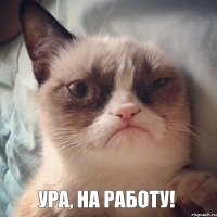 Ура, на работу! 