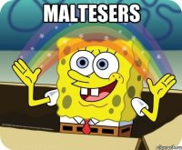 Maltesers 