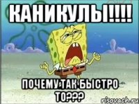 КАНИКУЛЫ!!!! Почему так быстро то???