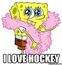  I love hockey