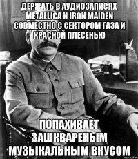 Держать в аудиозаписях Metallica и Iron maiden совместно с сектором газа и красной плесенью Попахивает зашквареным музыкальным вкусом