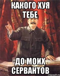 какого хуя тебе до моих сервантов