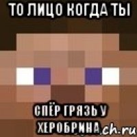 то лицо когда ты спёр грязь у херобрина