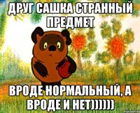 ДРУГ САШКА СТРАННЫЙ ПРЕДМЕТ ВРОДЕ НОРМАЛЬНЫЙ, А ВРОДЕ И НЕТ))))))