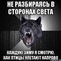 не разбираясь в сторонах света каждую зиму я смотрю, как птицы улетают направо