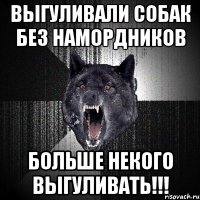 Выгуливали собак без намордников Больше некого выгуливать!!!