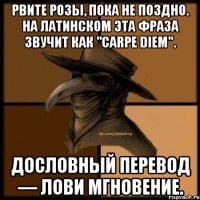 Рвите розы, пока не поздно. На латинском эта фраза звучит как "carpe diem". Дословный перевод — лови мгновение.