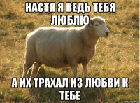 Настя я ведь тебя люблю а их трахал из любви к тебе