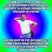 однажды я гулял по парку и встретил коровая и спросил у него саша кого ты больше любишь меня или шкур он ответил конечно шкур но я не догодался что он имел меня ввиду шкурой потом он сказал што он любит шкур и мы стали шкурами