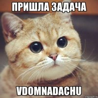 Пришла задача vdomnadachu