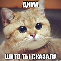 Дима шито ты сказал?