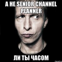 А не senior channel planner ли ты часом