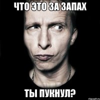 Что это за запах Ты пукнул?