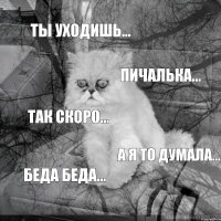 ты уходишь… пичалька… так скоро… а я то думала… беда беда…