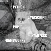 Python Javascript PHP HTML/CSS Frameworks