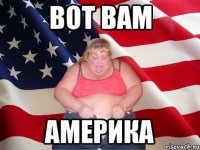 Вот вам Америка