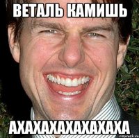 Веталь Камишь ахахахахахахаха