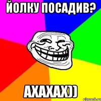 йолку посадив? ахахах))