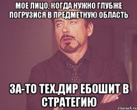 мое лицо, когда нужно глубже погрузися в предметную область За-то тех.дир ебошит в стратегию