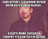 Сижу играю с телефоном, мучаю ногой кота, кушаю яблоко... И вдруг мама заходит и говорит что я ни чего не делаю