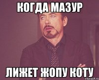 Когда мазур лижет жопу коту