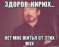 здоров, Кирюх... нет мне житья от этих мух