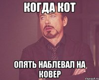 Когда кот опять наблевал на ковер