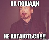 На лошади Не катаються!!!!