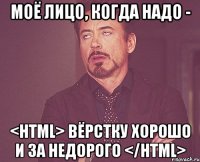 Моё лицо, когда надо - <html> Вёрстку хорошо и за недорого </html>