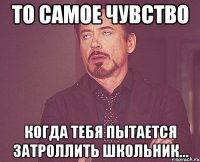 то самое чувство когда тебя пытается затроллить школьник...