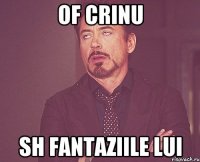 OF CRINU SH FANTAZIILE LUI