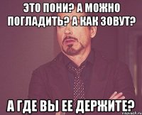 Это пони? А можно погладить? А как зовут? А где вы ее держите?