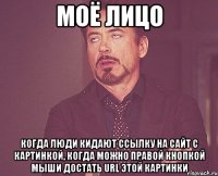 моё лицо когда люди кидают ссылку на сайт с картинкой, когда можно правой кнопкой мыши достать url этой картинки