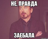 Не, правда Заебала
