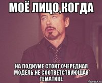 Моё лицо,когда на подиуме стоит очередная модель,не соответствующая тематике