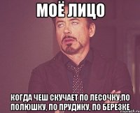 Моё лицо Когда Чеш скучает по лесочку,по полюшку, по прудику, по березке