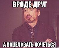 ВРОДЕ ДРУГ А ПОЦЕЛОВАТЬ ХОЧЕТЬСЯ