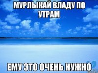 мурлыкай владу по утрам ему это очень нужно