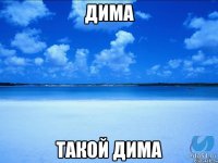 Дима Такой дима