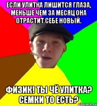 Если улитка лишится глаза, меньше чем за месяц она отрастит себе новый. Физик! ты чё улитка? семки то есть?