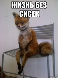 ЖИЗНЬ БЕЗ СИСЕК 