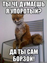 Ты че думаешь я упоротый? Да ты сам борзой!