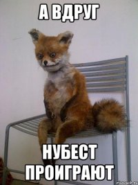 А вдруг нубест проиграют