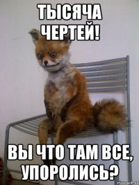 Тысяча чертей! Вы что там все, упоролись?