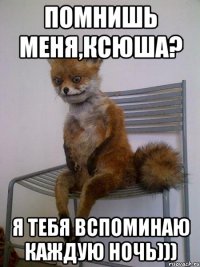 Помнишь меня,ксюша? Я тебя вспоминаю каждую ночь)))