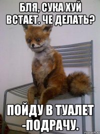 бля, сука хуй встает. че делать? пойду в туалет -подрачу.