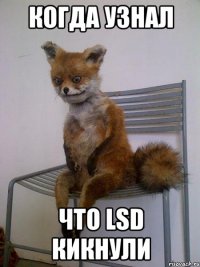 Когда узнал Что LSD кикнули